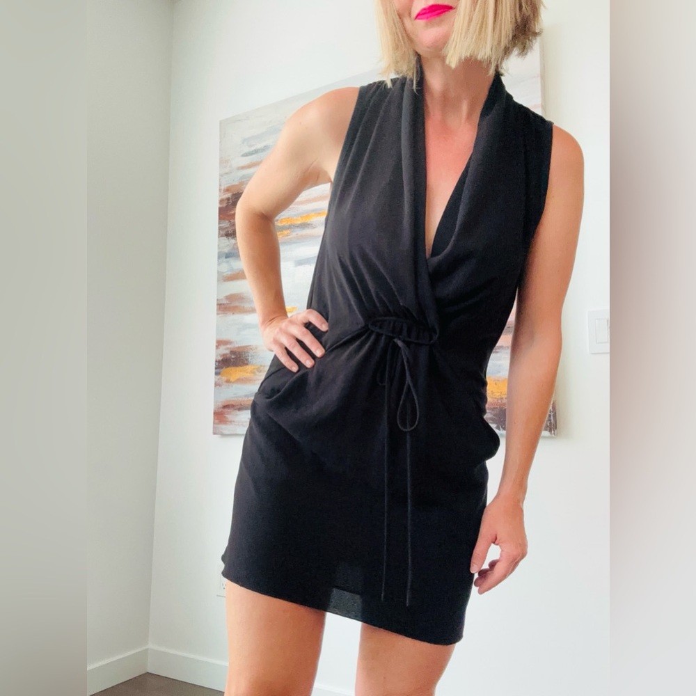 ARITZIA Wilfred Sabine Dress